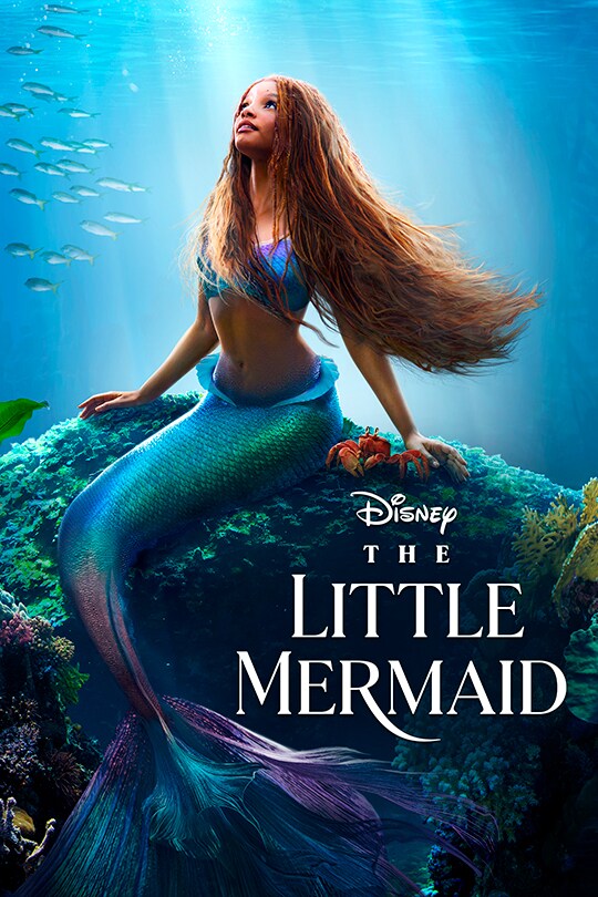مشاهدة فيلم الحورية الصغيرة مدبلج مصري