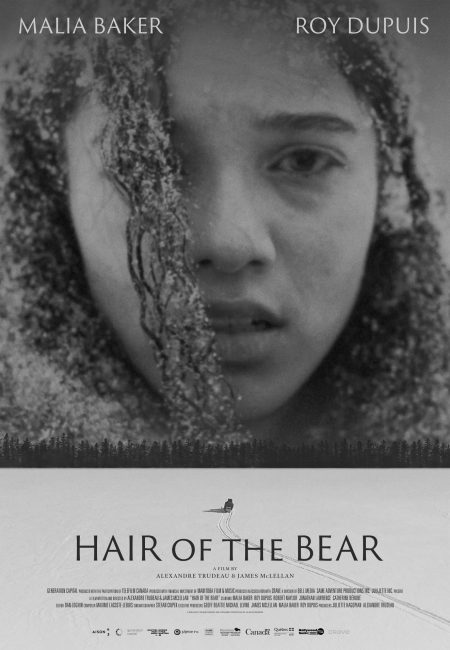 فيلم Hair of the Bear 2025 مترجم