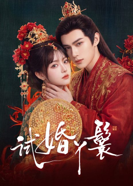 مشاهدة مسلسل خادمة المحاكمة The Trial Handmaiden الحلقة 11 مترجمة