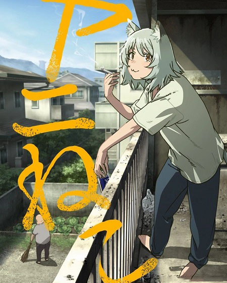 مشاهدة انمي Yani Neko الحلقة 12 مترجمة