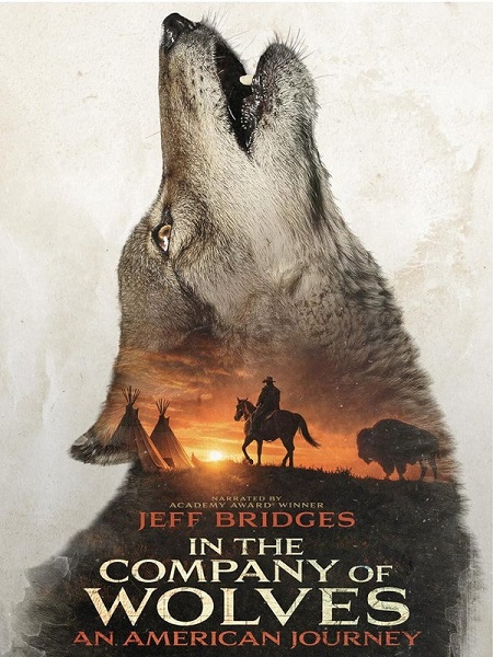 مشاهدة فيلم In the Company of Wolves An American Journey 2026 مترجم